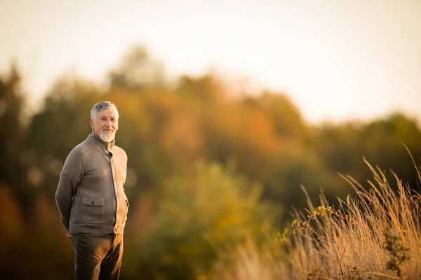Porträtt av stilig senior man på hösten utomhus — Stockfoto