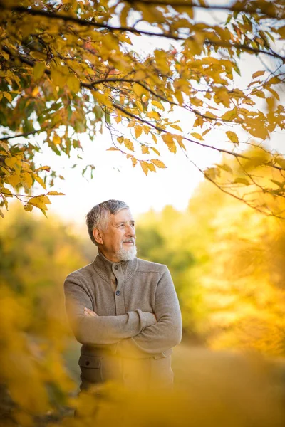 Ritratto di bell'uomo anziano in autunno all'aperto — Foto Stock