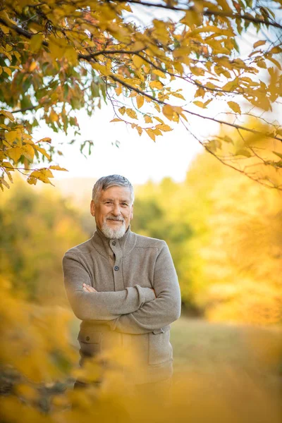 Egy jóképű idős férfi portréja ősszel a szabadban — Stock Fotó