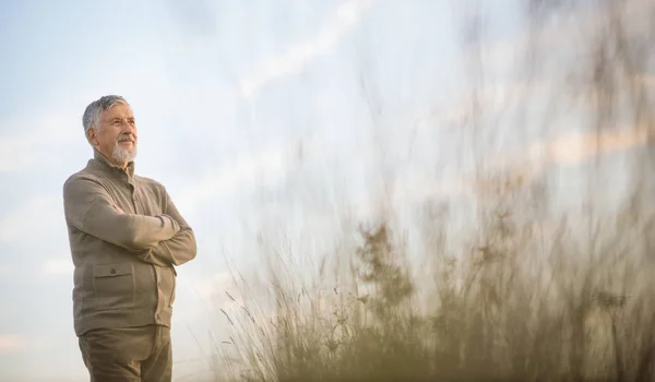 Портрет красивого пожилого мужчины осенью на открытом воздухе — стоковое фото