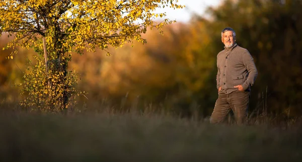 Portret van een knappe oudere man in de herfst buiten. — Stockfoto