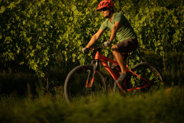 Bonito jovem ciclismo em uma bicicleta de montanha — Fotografia de Stock