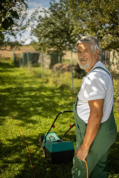 Ανώτερος κηπουρός κηπουρός στον κήπο του permaculture — Φωτογραφία Αρχείου