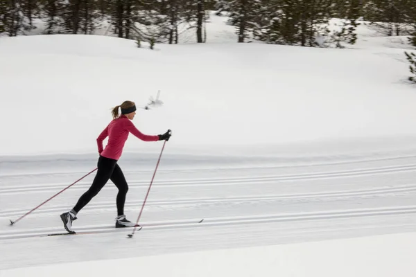 Катання на лижах між країнами: молода жінка катається на лижах між країнами — стокове фото