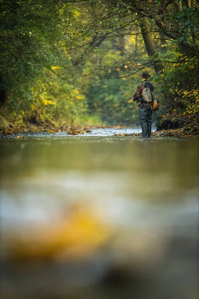 Fliegenfischer Fliegenfischen auf einem herrlichen Gebirgsfluss — Stockfoto