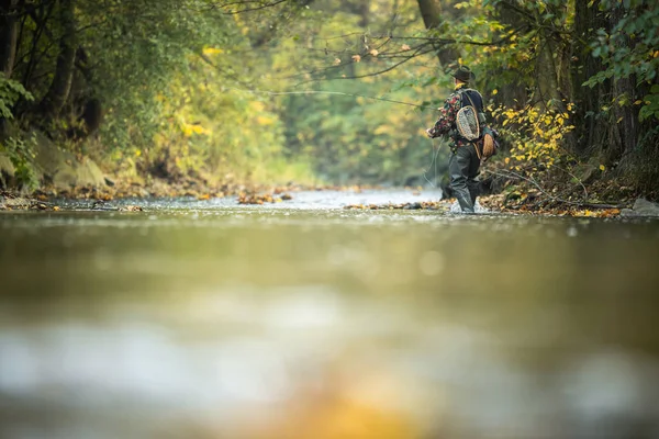 Fly fisherman fly fishing on a splendid mountain river — Stock Photo, Image