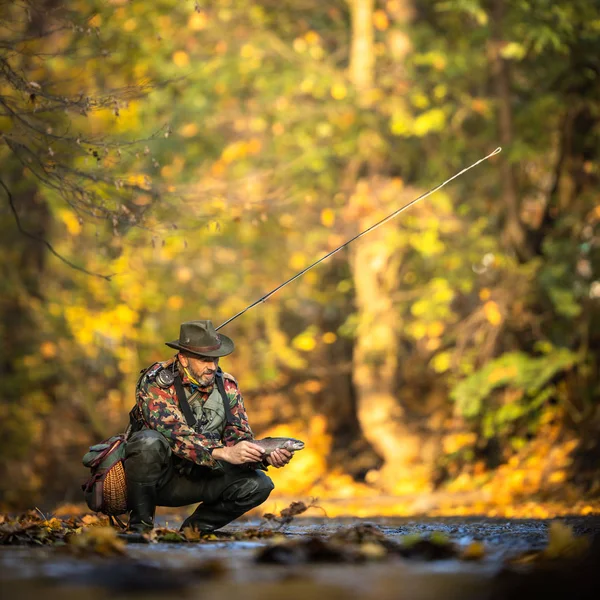 Close-up view of the hands of a fly fisherman holding a lovely trout — 스톡 사진