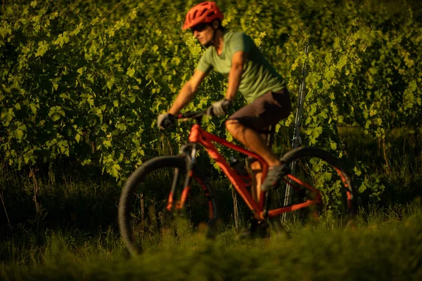 Bonita, jovem mulher de bicicleta em uma bicicleta de montanha — Fotografia de Stock