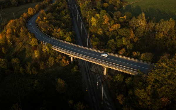 Лісова дорога в осінньому лісі на заході сонця в горах — стокове фото