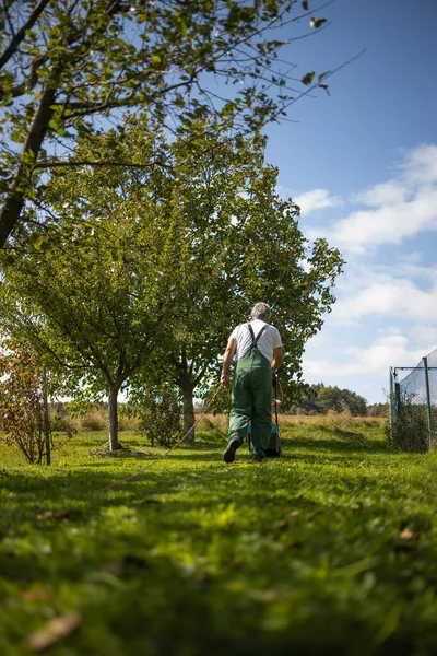 Giardinaggio senior nel suo giardino di permacultura — Foto Stock