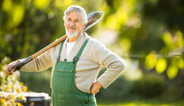 Senior-Gärtner gärtnert in seinem Permakulturgarten — Stockfoto