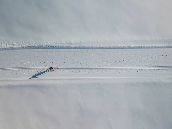 크로스 컨트리 스키 — 스톡 사진