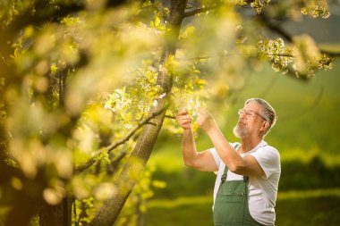 Son sınıf bahçıvanının portresi.