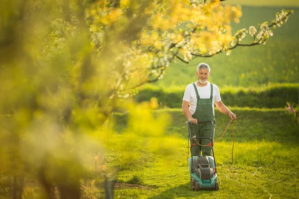 Porträtt av senior man trädgårdsskötsel — Stockfoto