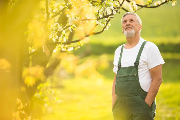 Porträt eines Seniors bei der Gartenarbeit — Stockfoto