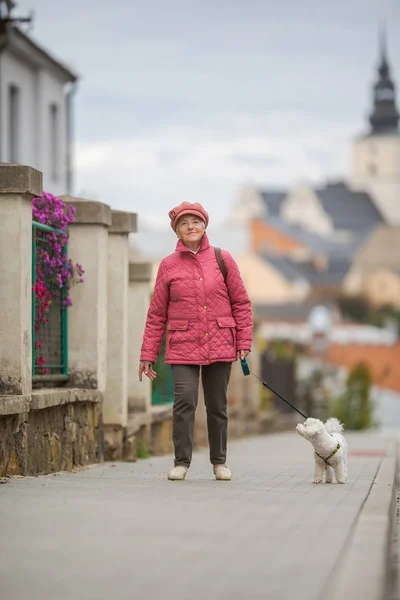 Seniorin geht mit kleinem Hund auf Stadtstraße spazieren — Stockfoto