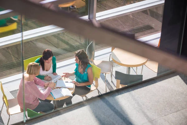 Grupp Universitetsstudenter Som Studerar Hårt För Tentamen Härlig Ljus Solbelyst — Stockfoto