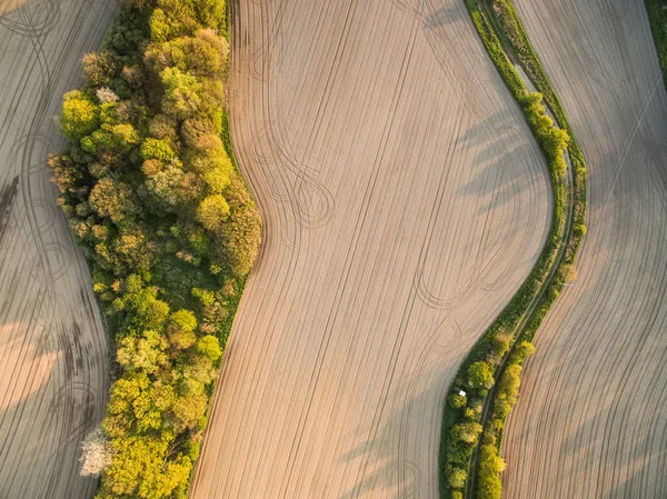 Ackerland Von Oben Luftbild Eines Üppigen Grüns — Stockfoto