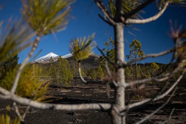 Güneş Batarken Teide Pico Viejo Volkanlarının Zirveleri Samara Kraterinden Görülür — Stok fotoğraf