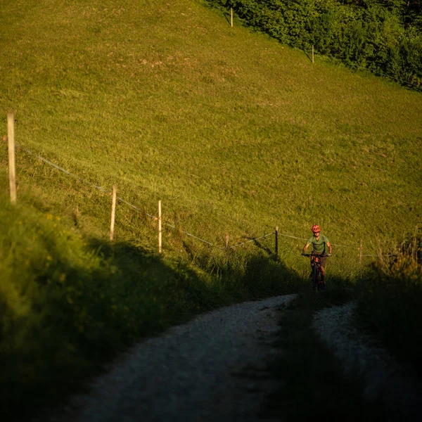 Schöner Junger Mann Der Sommer Auf Einem Mountainbike Einen Gesunden — Stockfoto