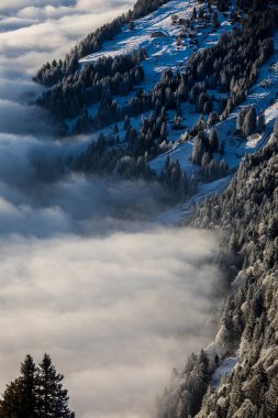Çok güzel bir manzara var. Sisli yüksek dağlar ve güzel akşam ışığı.