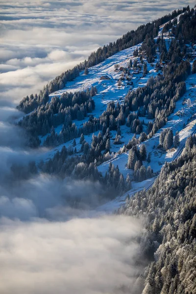 Splendide Paysage Aplin Hautes Montagnes Avec Brouillard Belle Lumière Soir — Photo