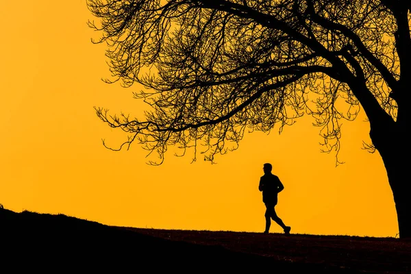 Силует Молодого Чоловіка Бігає Відкритому Повітрі Прекрасний Сонячний Вечір — стокове фото
