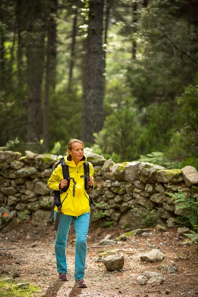 かなり 若い女性のハイカー 浅い立派な古い森を歩く — ストック写真