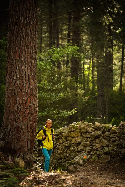 Bella Giovane Escursionista Donna Passeggiando Attraverso Una Splendida Foresta Vecchia — Foto Stock