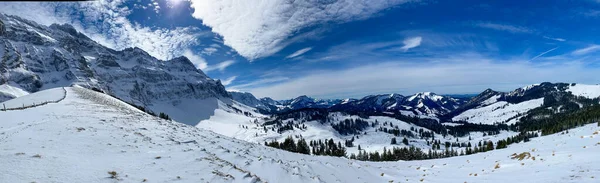 Impressionante Paisagem Inverno Com Abetos Cobertos Neve Dia Gelado Cena — Fotografia de Stock