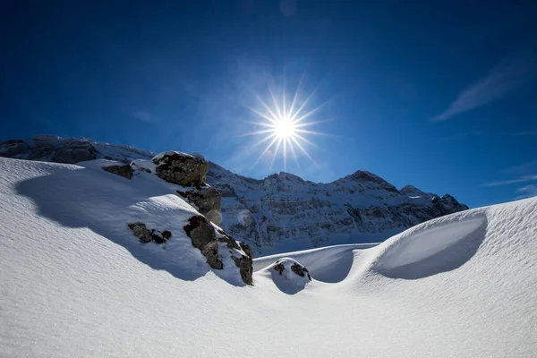 Impresionante Paisaje Invierno Con Abetos Cubiertos Nieve Día Helado Escena —  Fotos de Stock