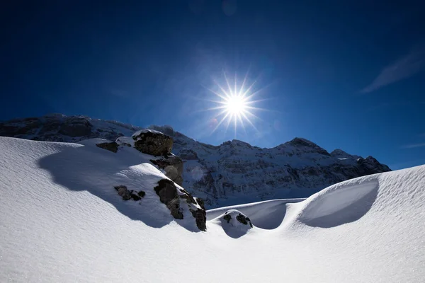 Grymt Vinterlandskap Med Granar Täckta Snö Rostfri Dag Exotisk Vintrig — Stockfoto