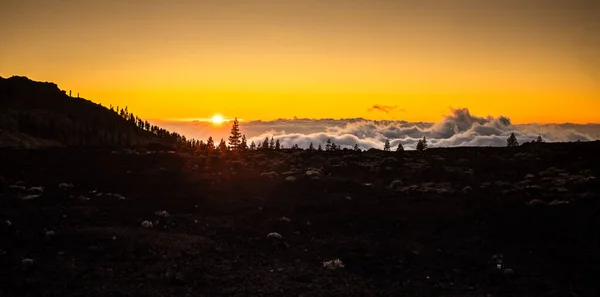 Teide Deki Tenerife Ulusal Parkı Nda Yükselişinin Renkli Manzarası Teide — Stok fotoğraf