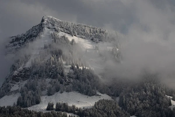 Impressionante Paisagem Inverno Com Abetos Cobertos Neve Dia Gelado Cena — Fotografia de Stock