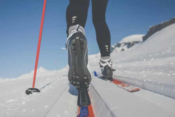 Kayaklı Koşu Genç Kadın Kayaklı Koşu Bir Kış Gününde Hareket — Stok fotoğraf