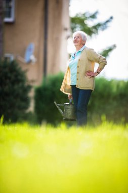 Yaşlı kadın bahçesinde bahçe işleriyle uğraşıyor. Çiçekleri suluyor.