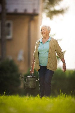 Yaşlı kadın bahçesinde bahçe işleriyle uğraşıyor. Çiçekleri suluyor.