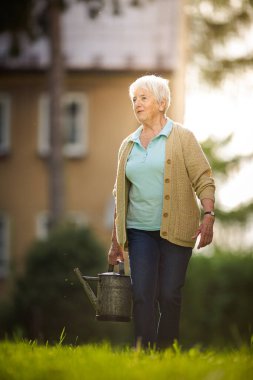 Yaşlı kadın bahçesinde bahçe işleriyle uğraşıyor. Çiçekleri suluyor.