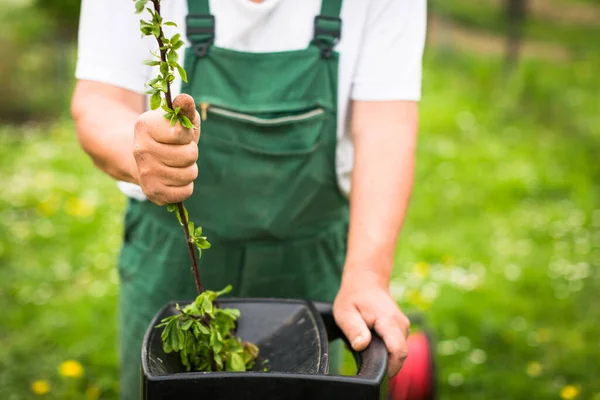 Senior Man Trädgårdsarbete Sin Trädgård Färg Tonad Bild — Stockfoto