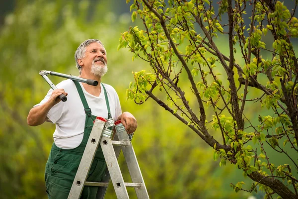 Jardinagem Homem Sênior Seu Jardim Imagem Tonificada Cores Cuidando Bem — Fotografia de Stock