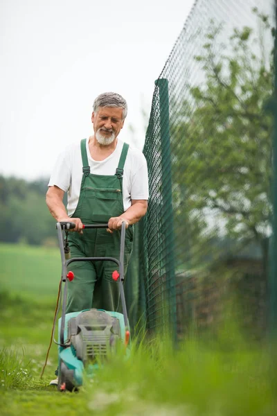 Jardinagem Homem Sênior Seu Jardim Imagem Tonificada Cores Cuidando Bem — Fotografia de Stock