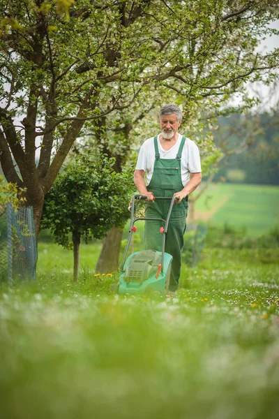 Senior Man Trädgårdsskötsel Sin Trädgård Färg Tonad Bild Tar Väl — Stockfoto