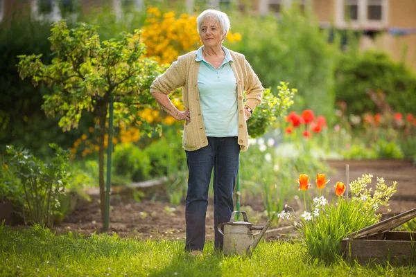 Senior Woman Doing Some Gardening Her Lovely Garden Watering Plants — Stock Photo, Image