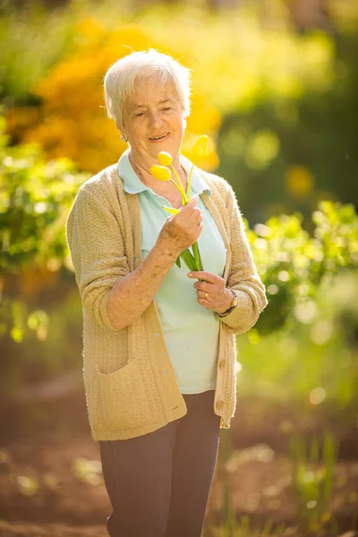Senior Žena Dělá Nějaké Zahradničení Její Krásné Zahradě Zalévání Rostlin — Stock fotografie