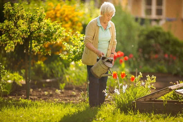 Mujer Mayor Haciendo Jardinería Hermoso Jardín Regando Las Plantas — Foto de Stock