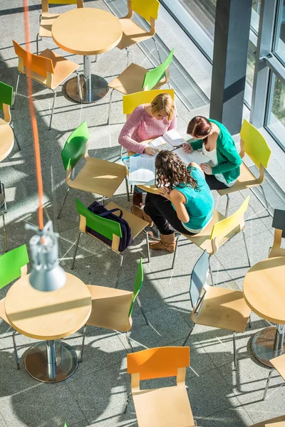 Group of university students studying hard for an exam in a lovely bright sunlit studying room/library