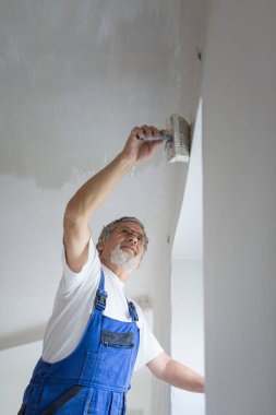 Üst düzey bir adam kiralık bir daireyi boya kovası ile boyuyor, duvar boyama konsepti - kısa süreli kiralık mülk bakımı