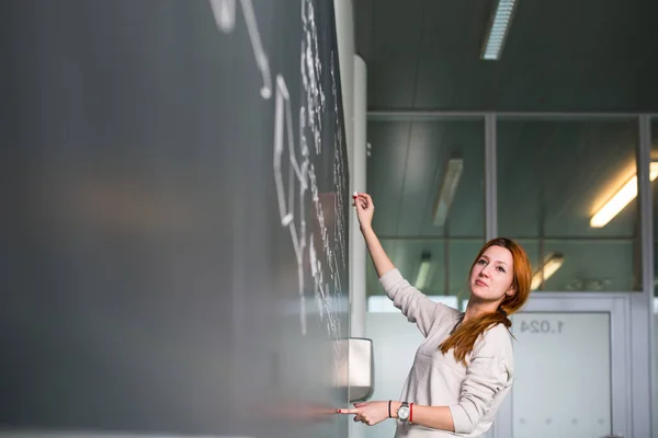 Pretty Young College Student Writing Chalkboard Blackboard Math Class Royalty Free Stock Photos