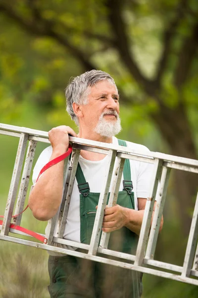 Jardinagem Homem Sênior Seu Jardim Imagem Tonificada Cores Cuidando Bem — Fotografia de Stock