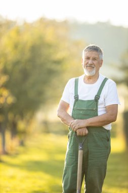 Permakültür bahçesinde bahçıvan bahçıvanı. Elinde kürek var.